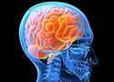The Human Mind: BEYOND THE BRAIN